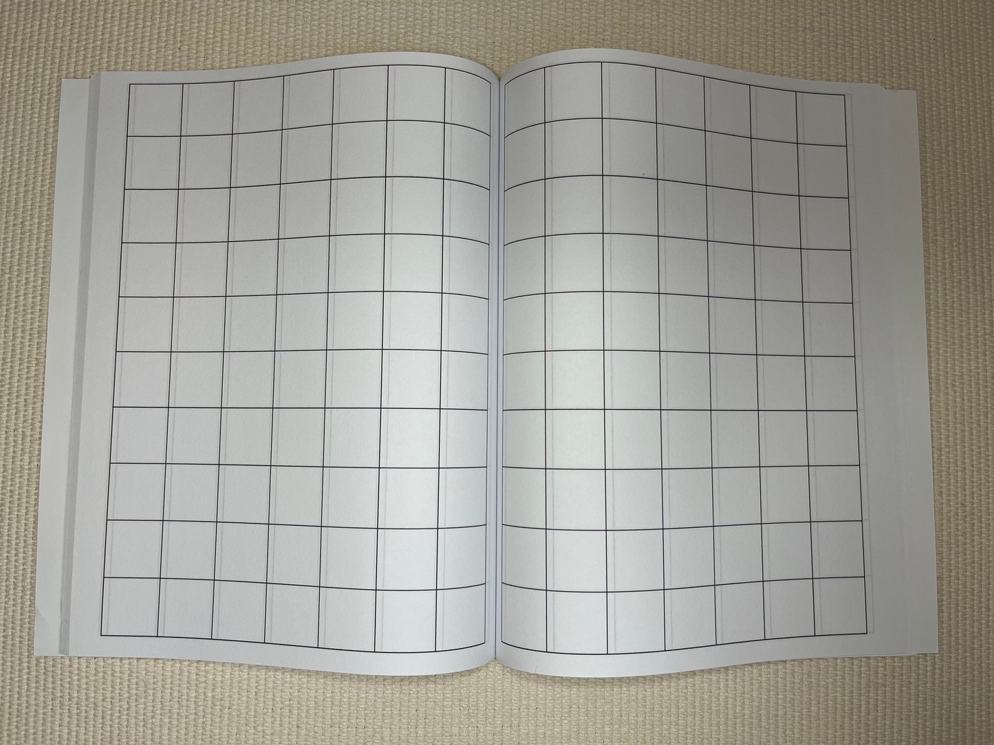 Graph Paper Notebook (1 inch squares)